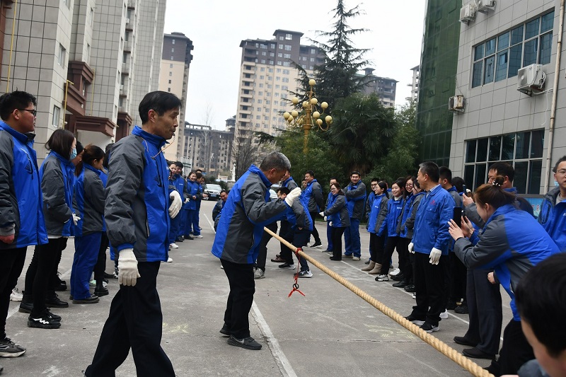 24小时直播无插件高清足球